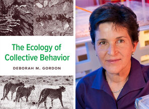 The cover of the book The Ecology of Collective Behavior with two black-and-white photos: one of two ants and one of three cheetahs. This is accompanied by a photo of Deborah Gordon wearing a blue blouse and smiling slightly