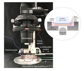 Live-Cell Monolayer Rheometer (LCMR) instrument