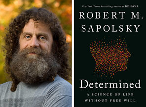 Photo of Robert Sapolsky with a full head of hair as well as a beard and mustache next to an image of the cover of his book, Determined, which has a black cover, white lettering, and the shape of a human head in profile composed of red, yellow, and orange dots. The dots stop above the eyes so there is blackness where the brain would begin.