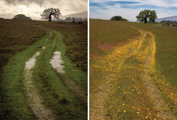A road going uphill is shown in winter with puddles and bright-green grass and in spring with yellow and purple wildflowers and dark grass