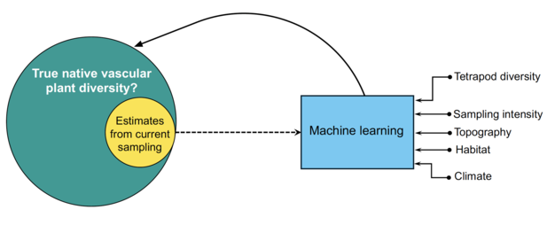 Diagram of data inputs for the machine learning model that Stanford biologist Barnabas Daru created.