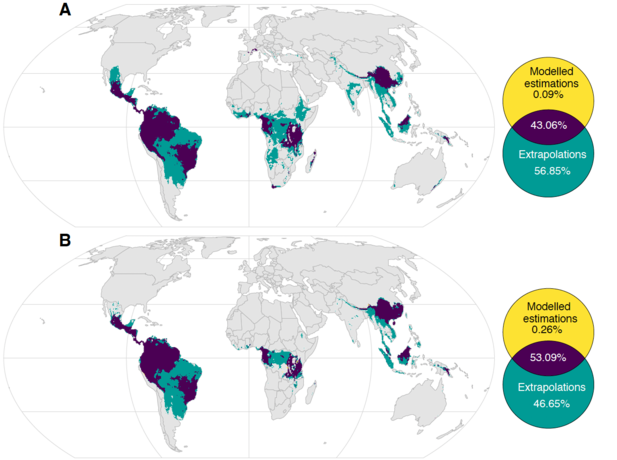 modeled estimates of vascular plant diversity hotspots based on current sampling, versus the new machine learning extrapolations for A) species richness and B) phylogenetic (evolutionary) diversity