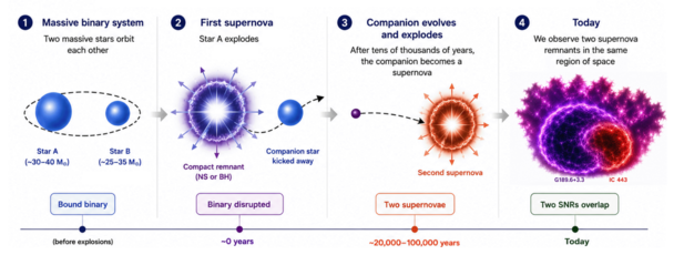 Cartoon showing the origin of the remnant complex