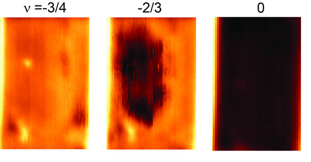 The three scanning images illustrate the transition from a metal (entirely bright, left) to a fractional state with a dark bulk and bright edge (middle), and finally to an insulator (right) when tuning the filling factor. Here bright colors indicate conductive regions, while dark colors represent insulating regions. Notably, only the 2/3 fractional state demonstrates the distinct correspondence between the bulk and edge.