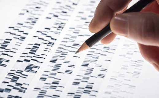 Close-up photo of a DNA test.