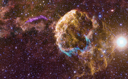 Infrared, visible, and ultraviolet image of the area around the Jellyfish Nebula 