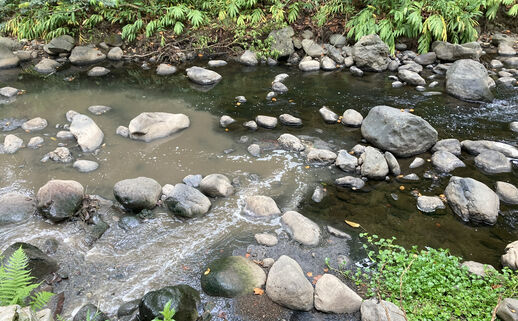 A stream with clouded water on the left and clear on the right