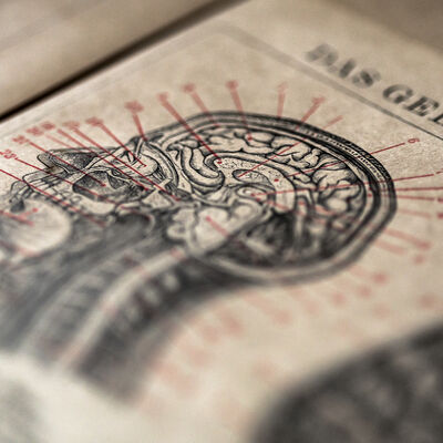 A photo of an old anatomy textbook showing the inside of the human head