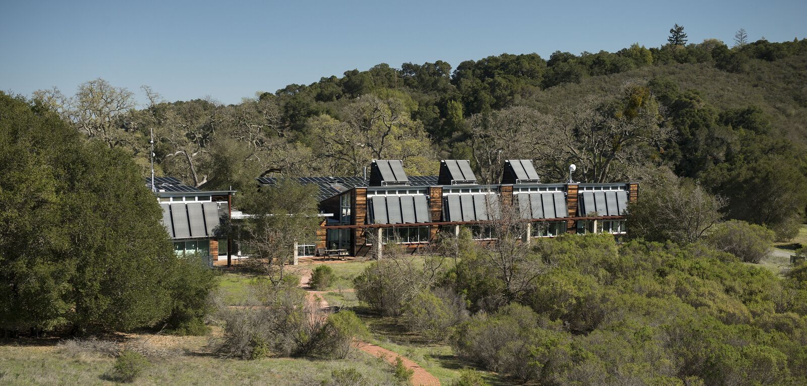 The main buildings at Jasper Ridge Biological Preserve clad in solar panels and surrounded by trees and bushes 