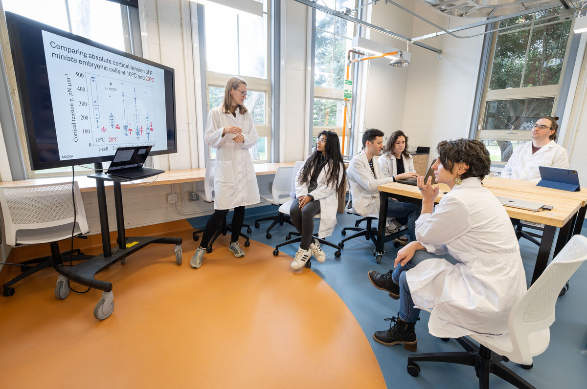 Postdoctoral students in lab coats and Professor Vanessa Barone sit around a table as one student presents at a TV monitor