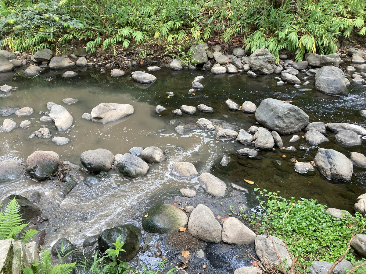 A stream with clouded water on the left and clear on the right