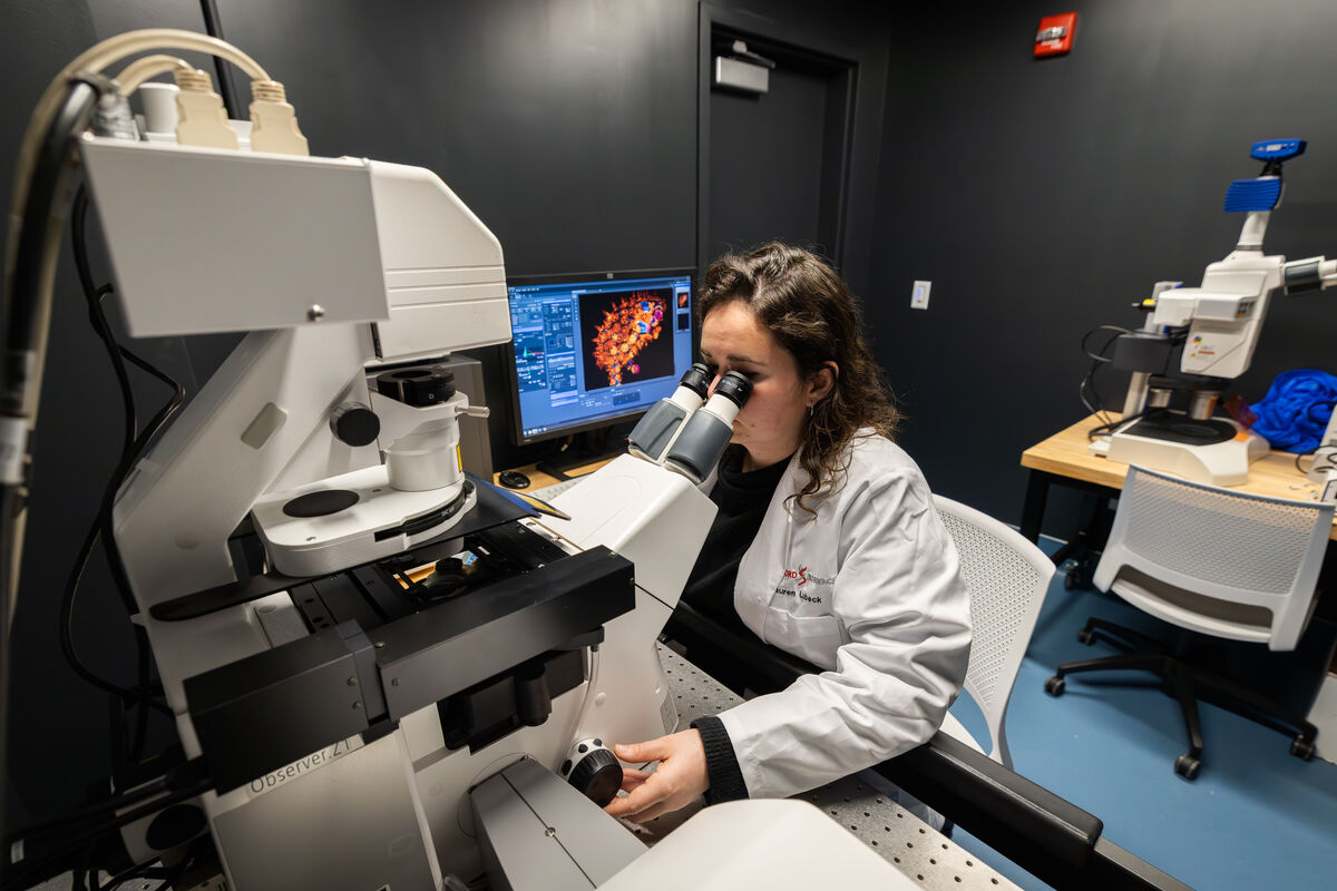 Lauren Lubeck, a doctoral candidate in biology, uses one of the new confocal microscopes in the imaging center to view the cellular structure of a juvenile sea cucumber (Apostichopus parvimensis).