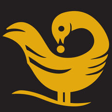 Golden bird with body facing forward and head facing backward to pick up an egg
