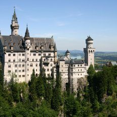 A German castle surrounded by evergreen trees.