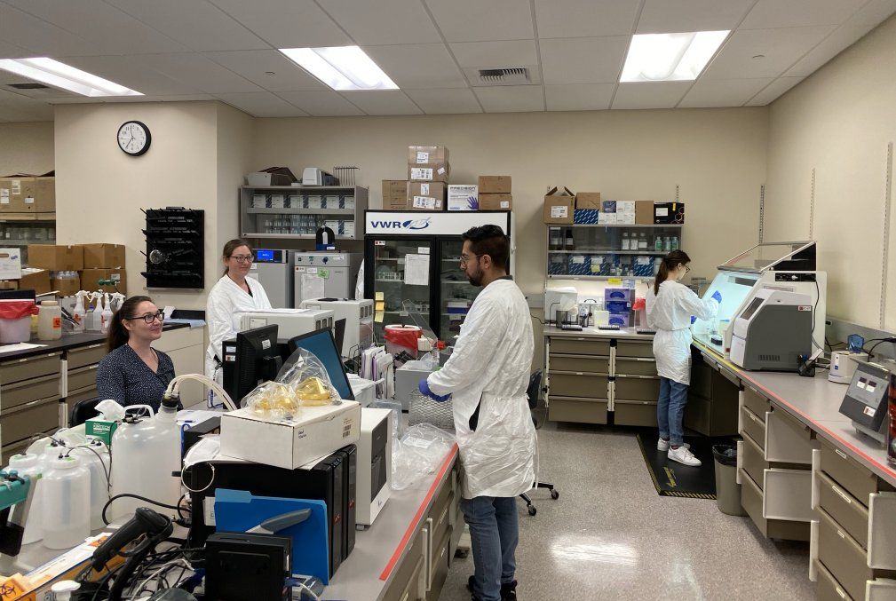 Researchers in lab coats working in a lab