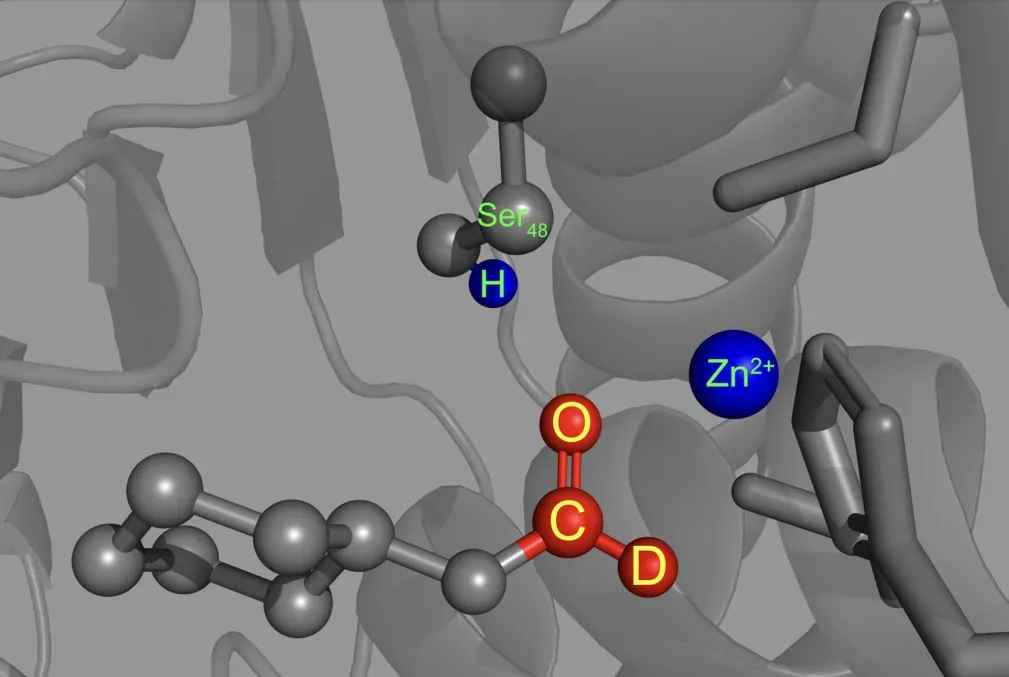 illustration of probe