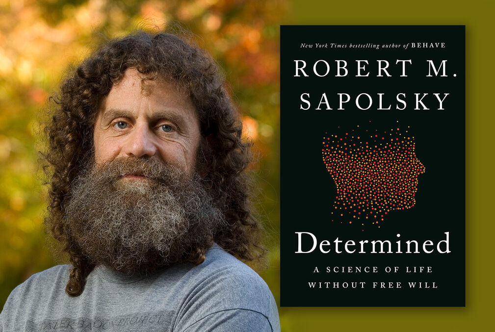 Photo of Robert Sapolsky with a full head of hair as well as a beard and mustache next to an image of the cover of his book, Determined, which has a black cover, white lettering, and the shape of a human head in profile composed of red, yellow, and orange dots. The dots stop above the eyes so there is blackness where the brain would begin.