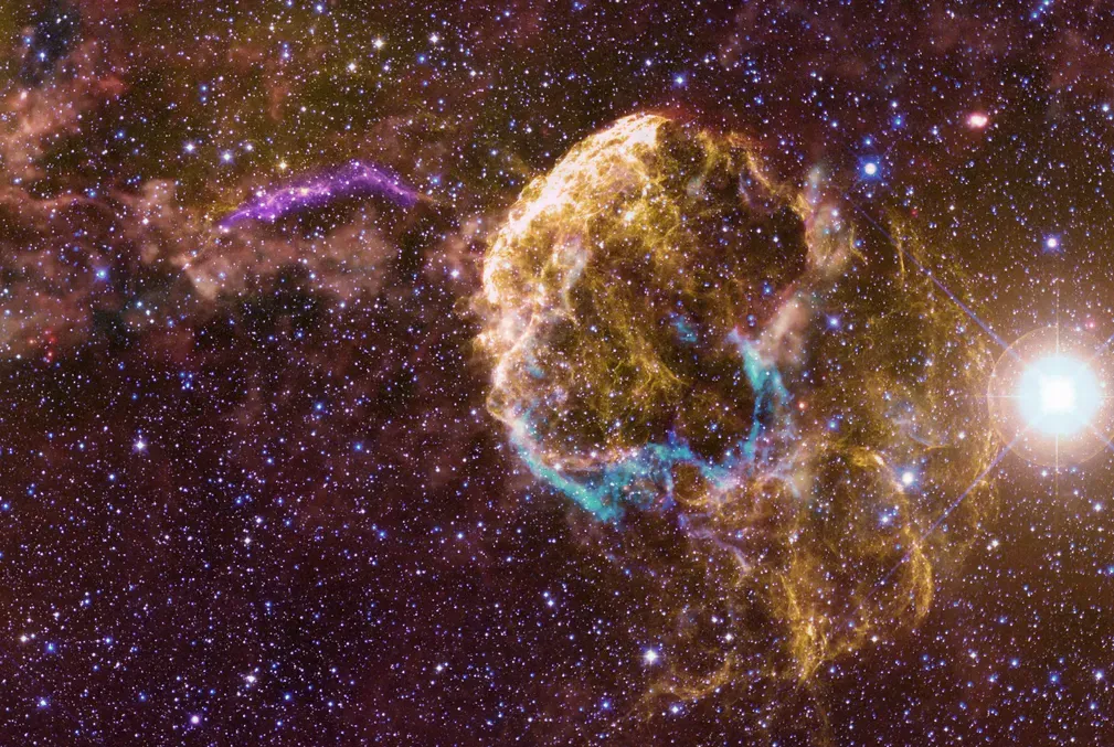 Infrared, visible, and ultraviolet image of the area around the Jellyfish Nebula 