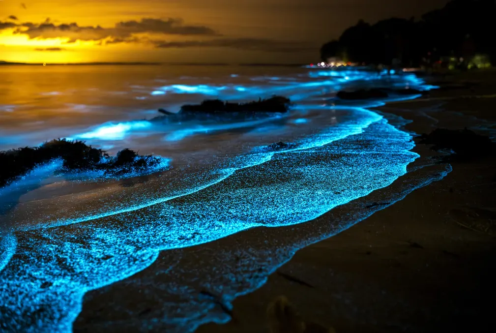 A beach scene with waves that have a glowing luminescent blue edge 