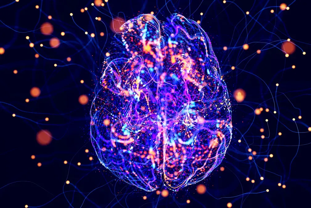 Illustration of the neural network inside a brain