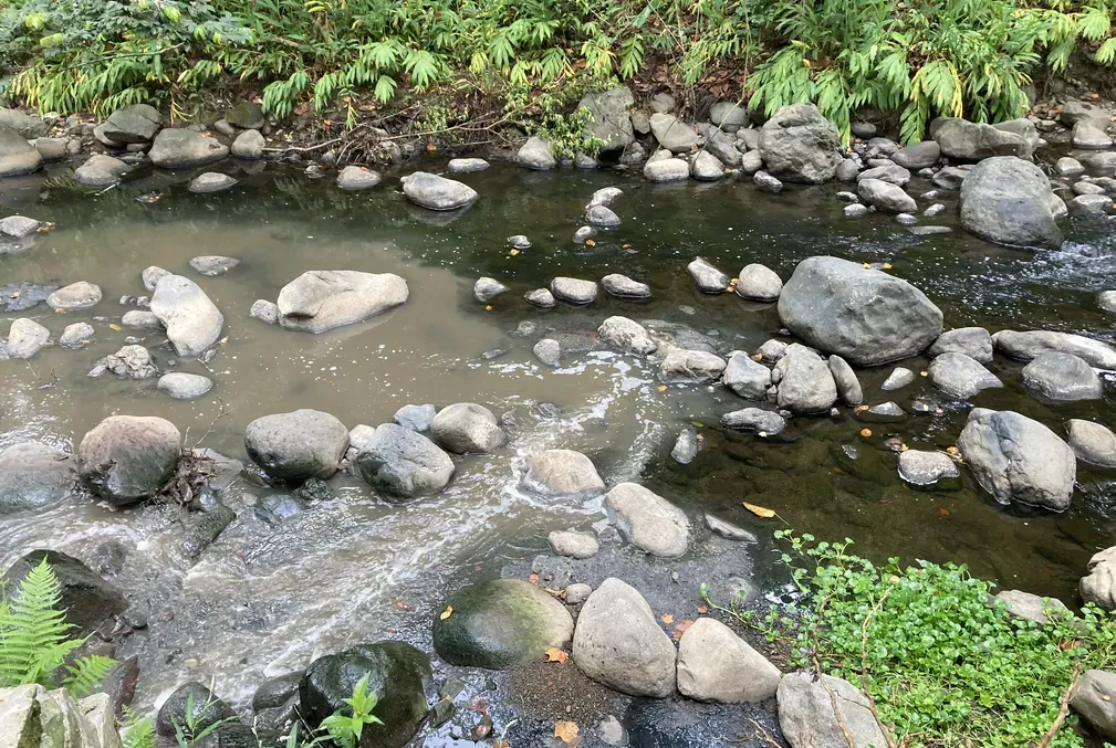 A stream with clouded water on the left and clear on the right